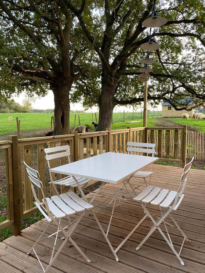Villa Jolie Tiny House Sous Les Grands Arbres Cholet Exterior foto